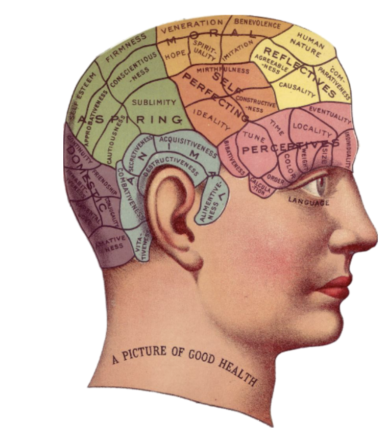 Phrenology